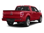 2013 Ford F-150 Base