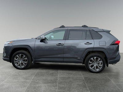 2024 Toyota RAV4 Hybrid XLE Premium