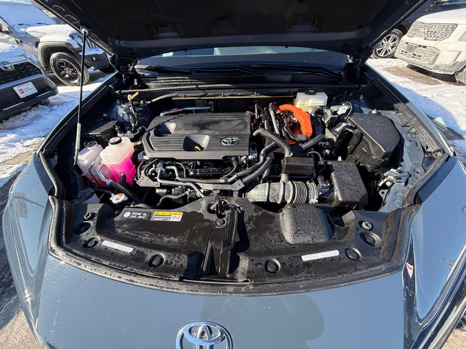 2025 Toyota Crown Signia XLE