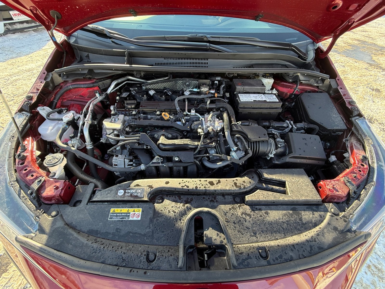 2025 Toyota COROLLA SE