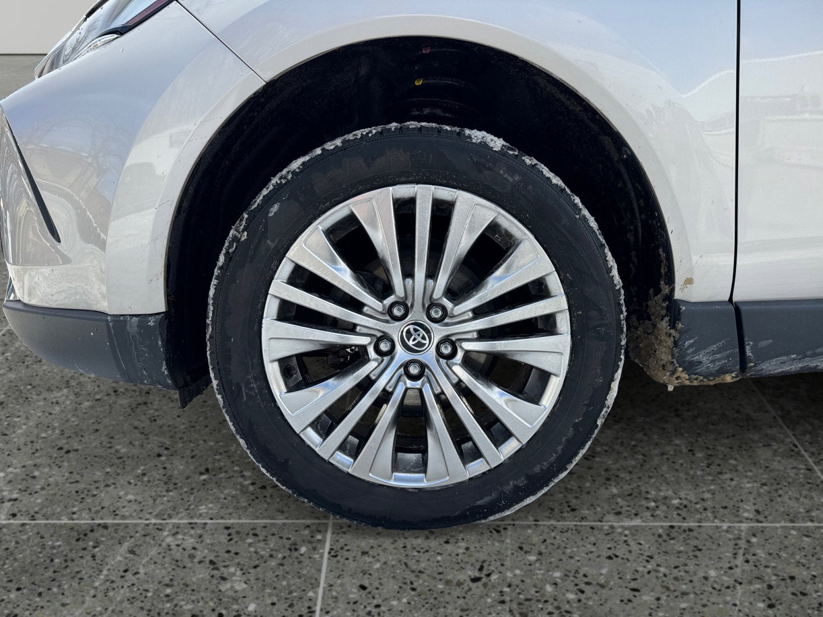 2021 Toyota Venza XLE XLE