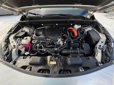 2021 Toyota Venza XLE XLE